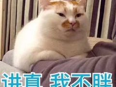 -NAMO印度餐厅