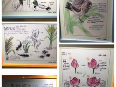 -上海昆虫博物馆