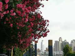 -苏州河梦清园环保主题公园