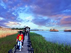 -太湖湖滨国家湿地公园-停车场