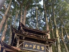 景点-青城山