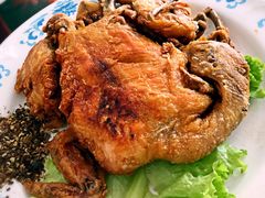 峪鸡餐厅-峪鸡餐厅