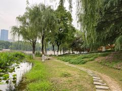 -后襄河公园
