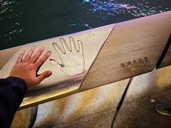 -星光大道