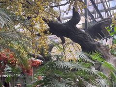 -世外桃源农庄·德清土菜(兴康南路店)