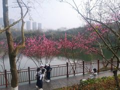 -重庆彩云湖湿地公园