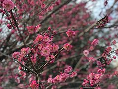 -罍+村(半边街店)