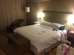 -新加坡瑞士史丹福酒店