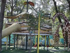 -南戴河国际娱乐中心