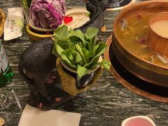 -慢丽江·云南野生菌土鸡锅(付家庄店)