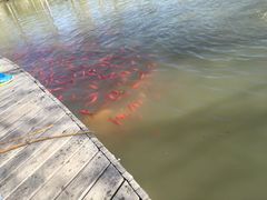 -北京园博大酒店