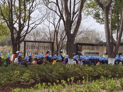 -玄武湖景区-情侣园游乐场