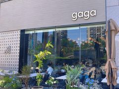 -gaga(北京新中关购物中心店)