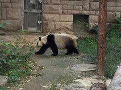 -北京动物园