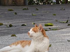 -鸿山公园