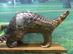 -下渚湖国家湿地公园科普馆