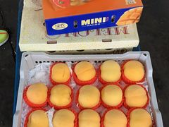 -上海龙吴水胜海发市场