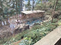 -宁海森林温泉