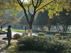 -太子山公园(园东路)