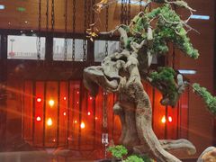 门面-南堂館川菜文化餐厅(天府店)