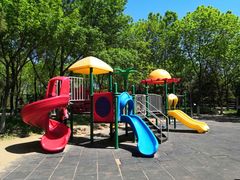 -大兴滨河森林公园