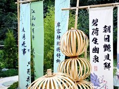 -济南森林公园