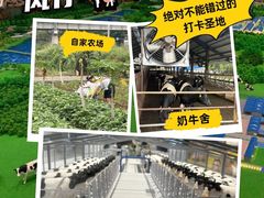 -深圳湾公园(南山区)