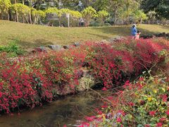 -荔枝公园(福田区)