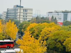 -杭州九堡客运中心