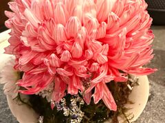 -马旺子·川小馆