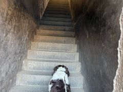 -阎锡山故居