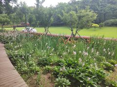 -棒棰岛宾馆景区