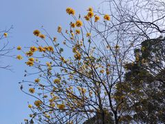 -牛岗山公园