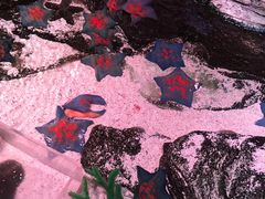 -沈阳海洋探索中心