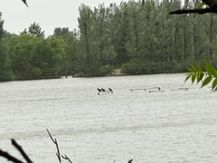 -翠湖国家城市湿地公园