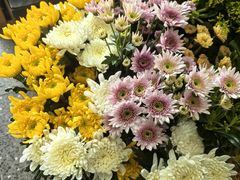 -FEI FEI FLOWER鲜花店·气球派对·宝宝宴布置(虹口德必运动Loft店)