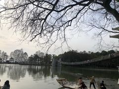 -东湖落雁景区