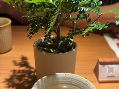 -CURRY YA 熟成咖哩專門店(深圳湾万象城店)