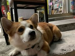 -小梁哥云吞面(黄贝岭店)