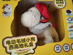-山姆会员商店(上海浦东店)