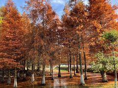 -南京市无想山景区