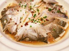 -单家老院·院子里的青岛菜(沙子口店)