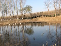 -东郊湿地公园