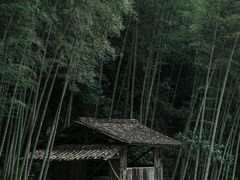 -林坑古村落