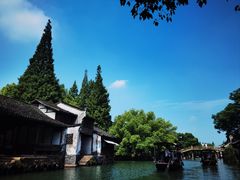 -乌镇西栅景区