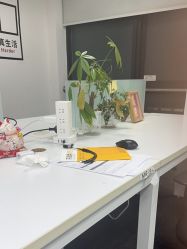 -天秤座发型社