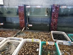 水产区-大京园海鲜烧烤(东城路店)