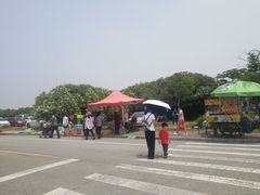 -南汇嘴观海公园