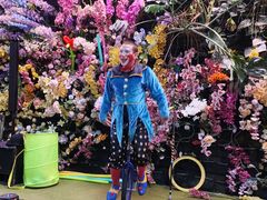 -正佳雨林生态植物园