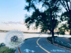 -棋盘山风景区